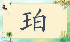 珀名字|珀字取名起名大全